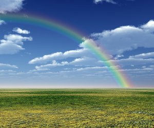 Week 48 of 2013 – Gansbaai News, Specials & Events